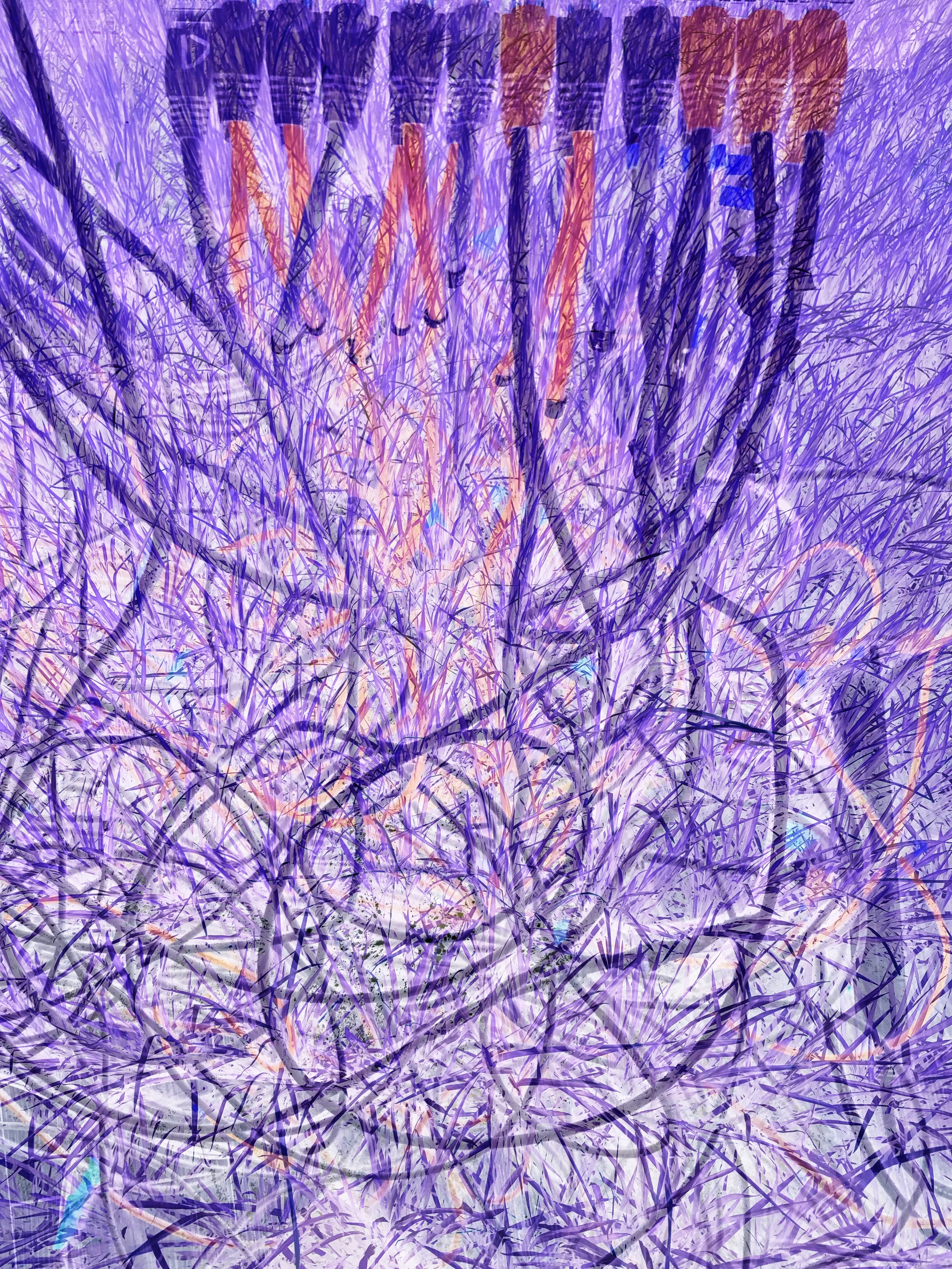 Be No.13 - A paddy field we met during a round-island trip and the networking cables in our office (2021)