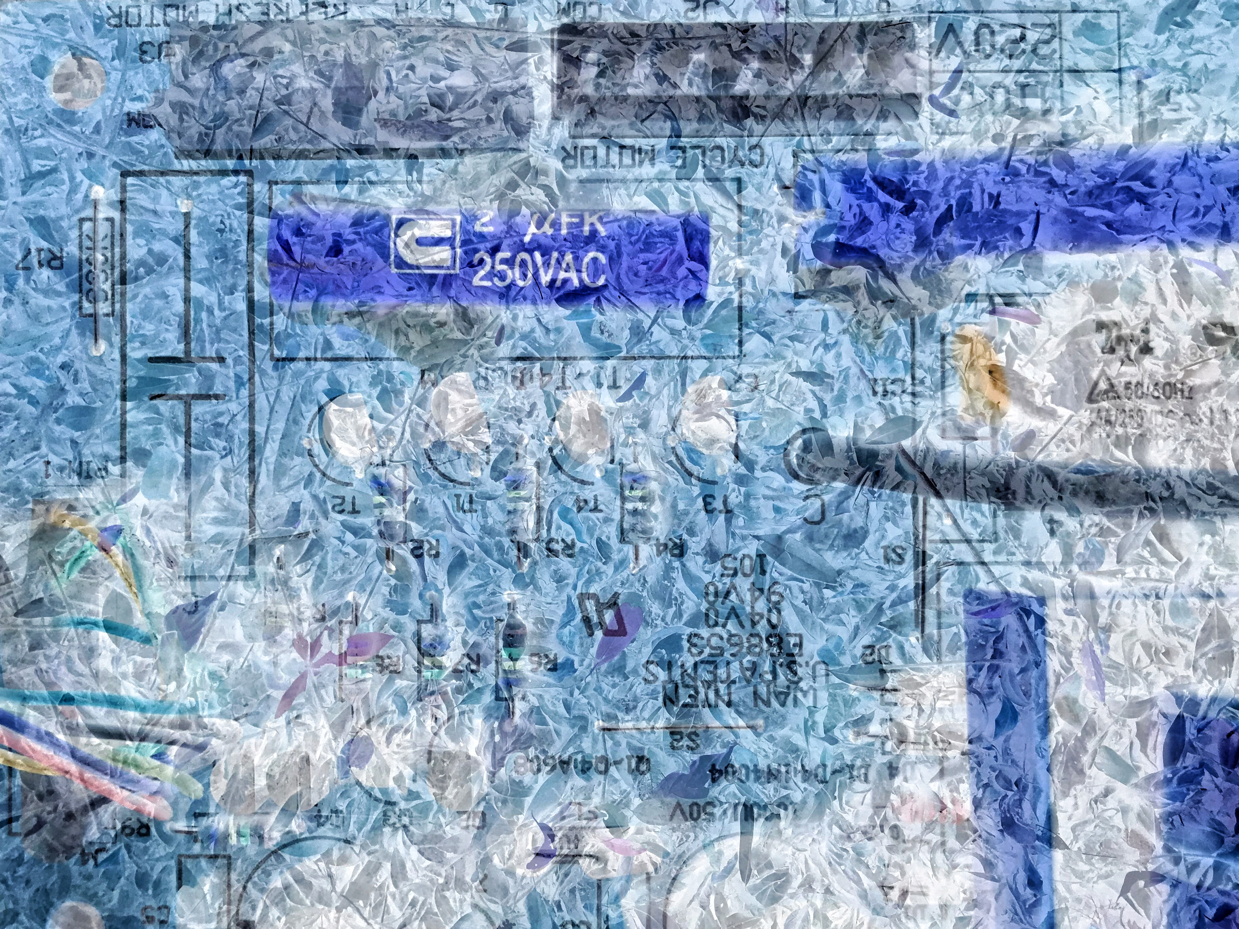Be No.20 - Leaves on the ground during a hiking and a part of the circuit board of a broken bathroom air dryer (2021)
