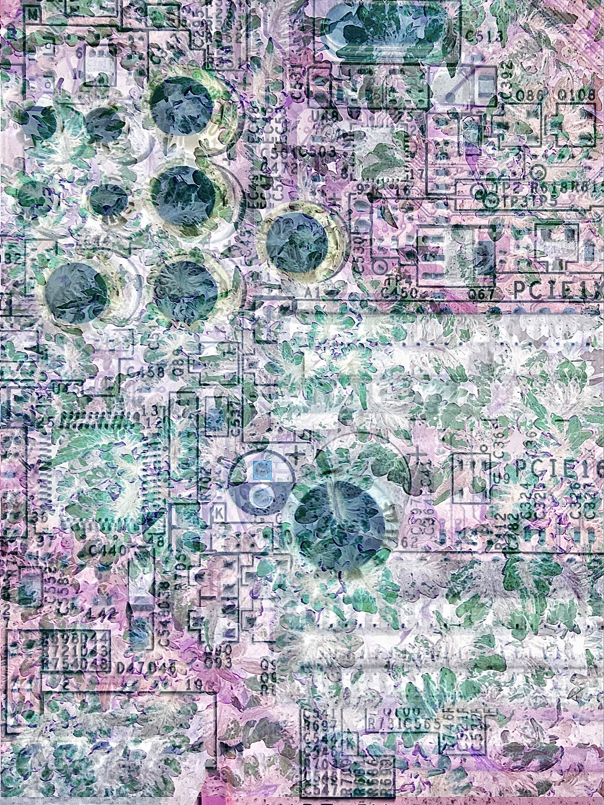 Be No.26 - Vibrant plants from a garden encountered in the alleys and a part of the mother board of my colleague’s desktop (2024)